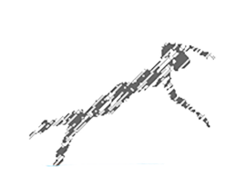 Nata&ccedil;&atilde;o